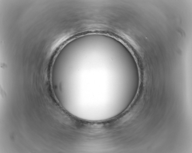 X0000091201261200708091034
