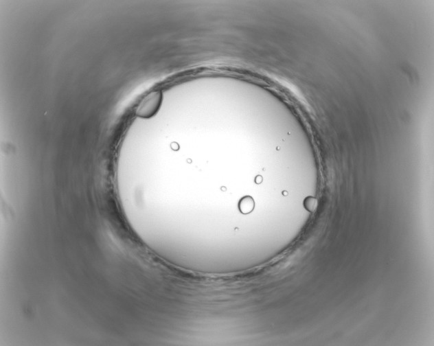 X0000091201263200708091034