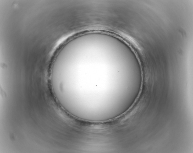 X0000091201264200708091034