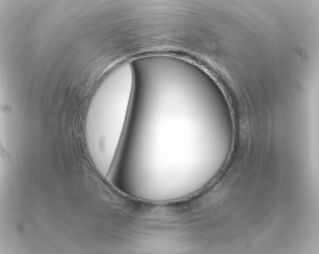 X0000091201265200708091033