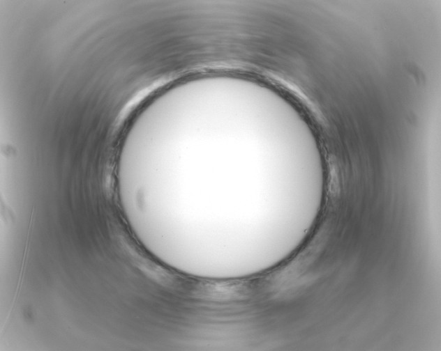 X0000091201266200708091033