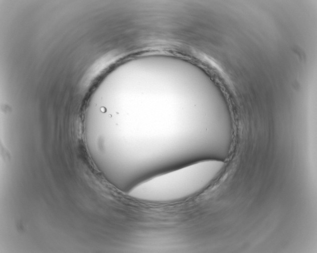 X0000091201267200708091033