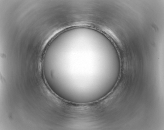 X0000091201268200708091033