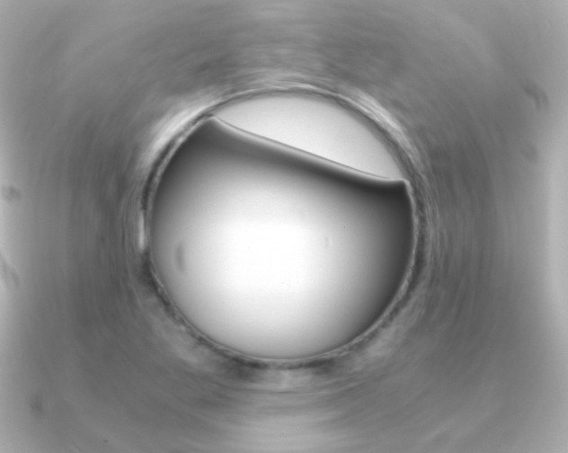 X0000091201269200708091033