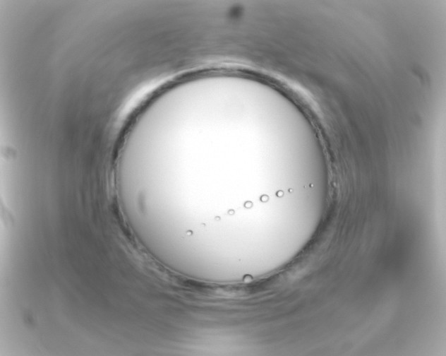 X0000091201271200708091033
