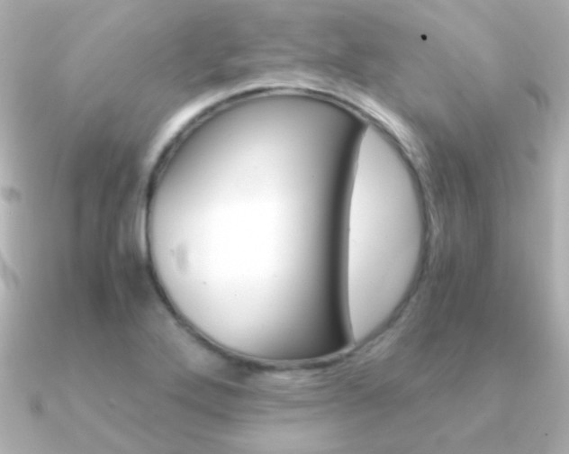 X0000091201272200708091033