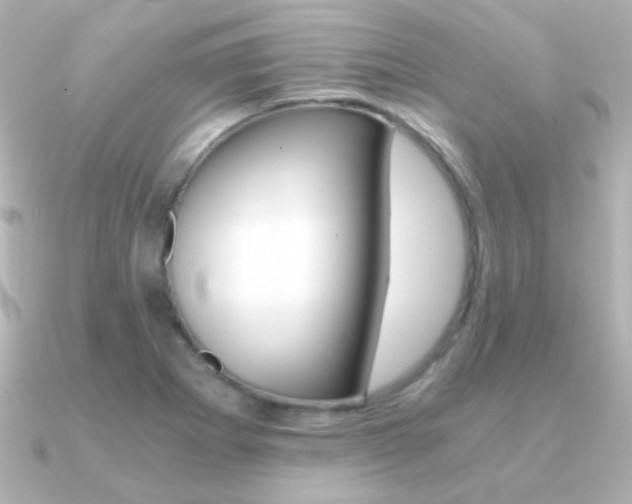 X0000091201273200708091033