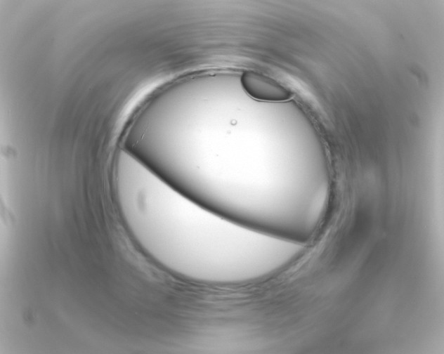X0000091201275200708091033