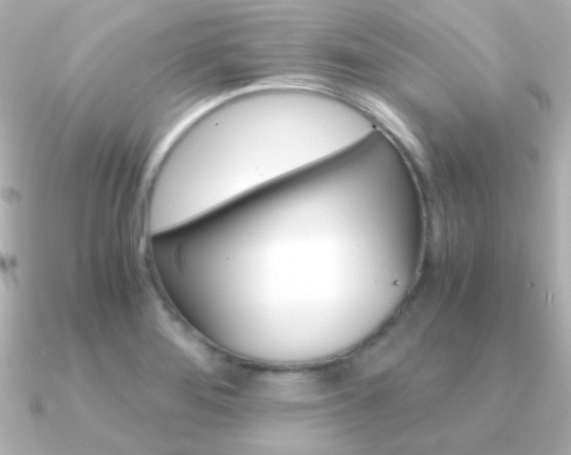 X0000091201276200708091033