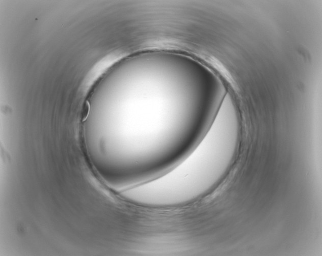 X0000091201277200708091033