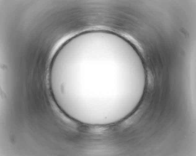 X0000091201278200708091033