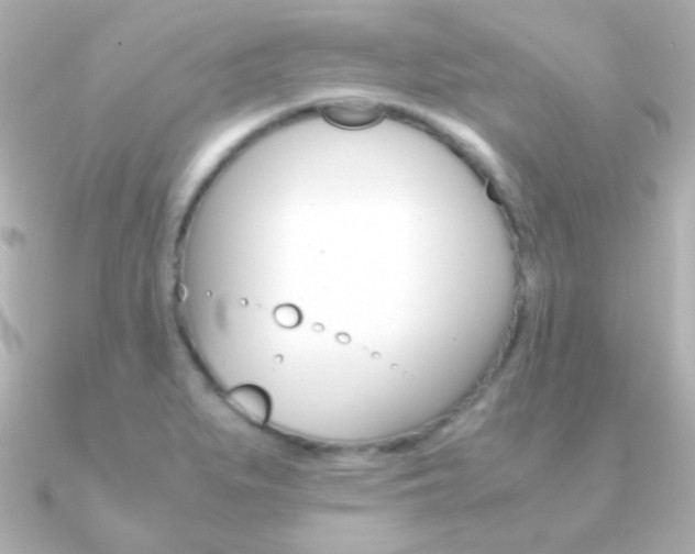 X0000091201279200708091033