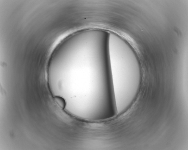X0000091201280200708091033