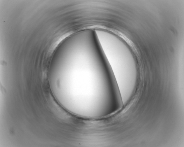 X0000091201281200708091033