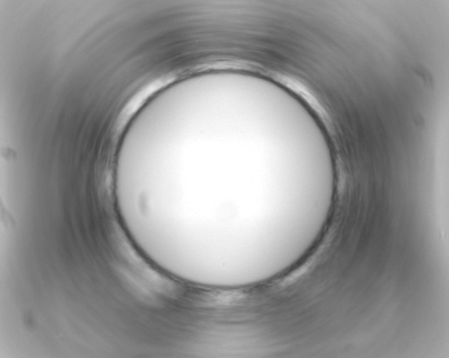 X0000091201282200708091033