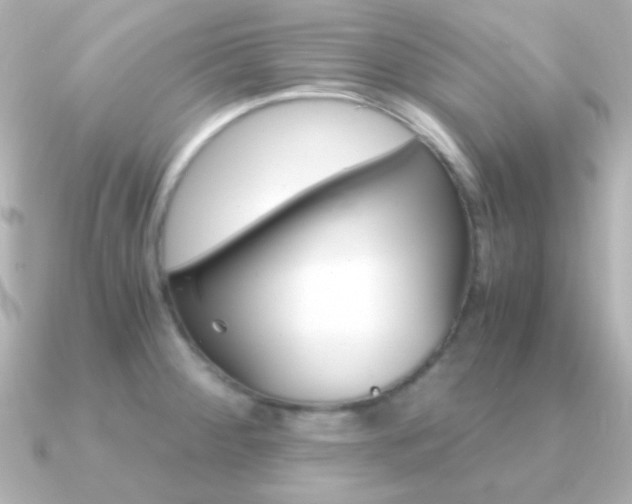 X0000091201284200708091033