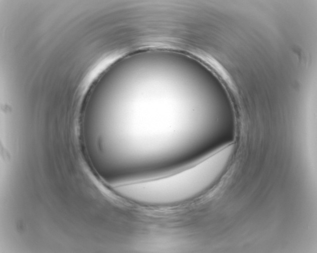 X0000091201285200708091033
