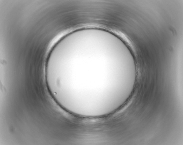 X0000091201286200708091033