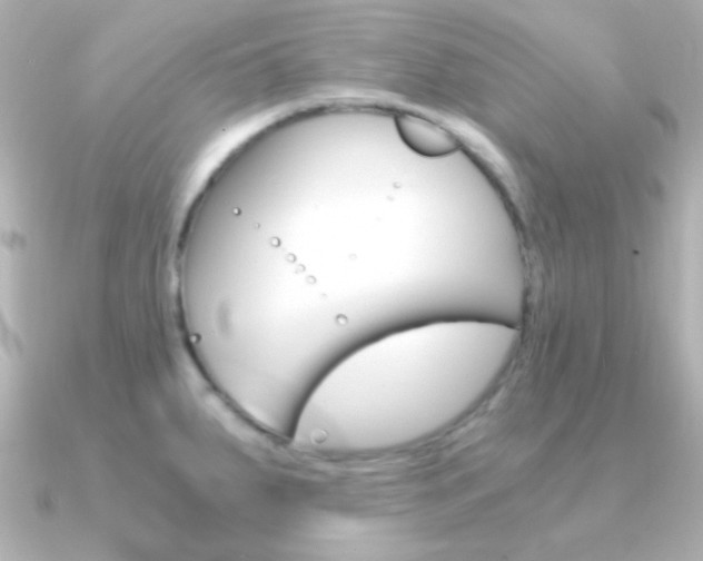 X0000091201287200708091033