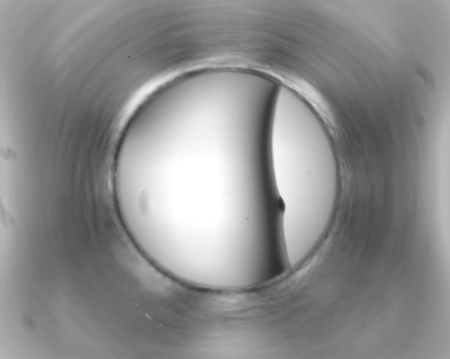 X0000091201288200708091033