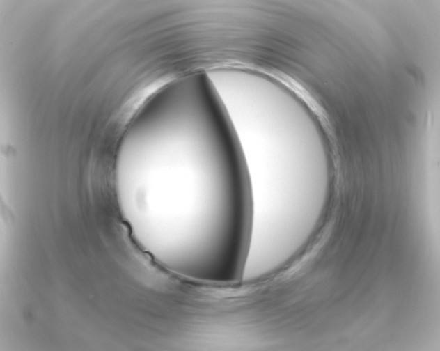 X0000091201289200708091033
