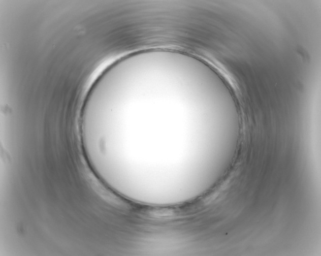 X0000091201291200708091033
