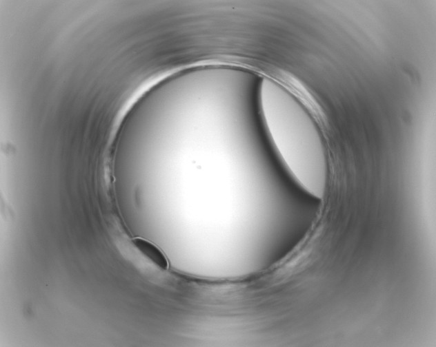 X0000091201292200708091033