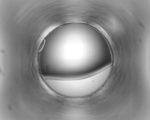 X0000091201293200708091033