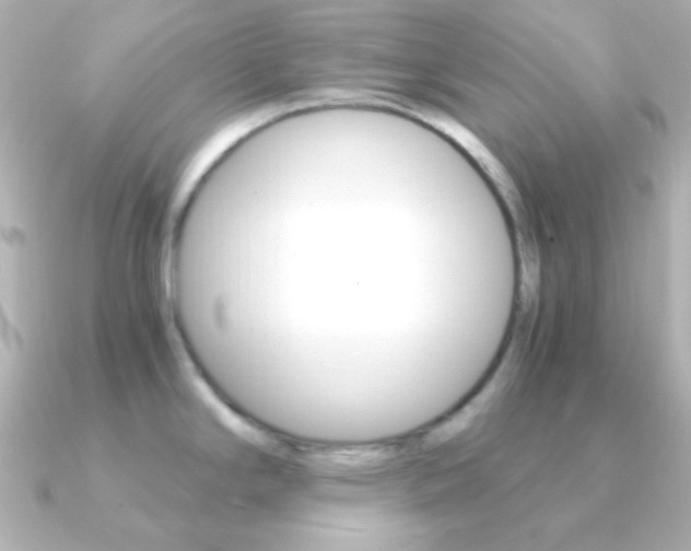 X0000091201294200708091033