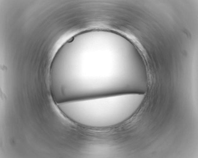 X0000091201295200708091033