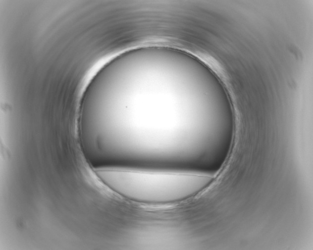 X0000091201296200708091033