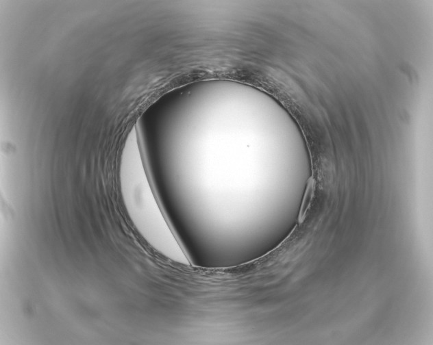 X0000091201298200708091033