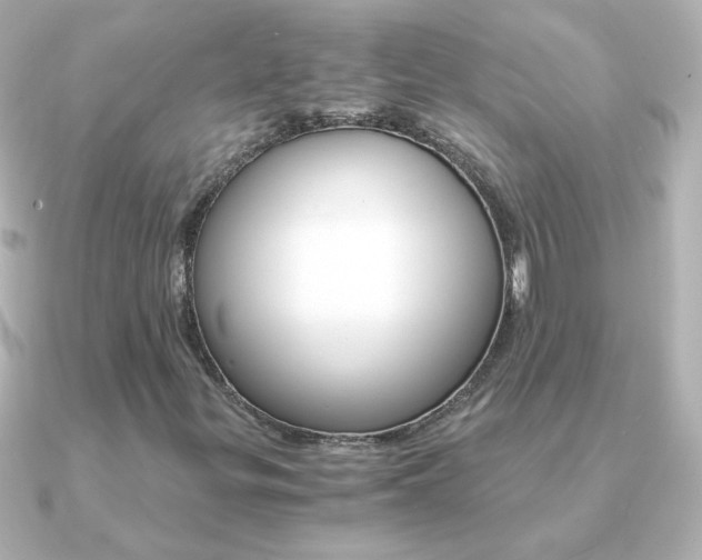 X0000091201299200708091033