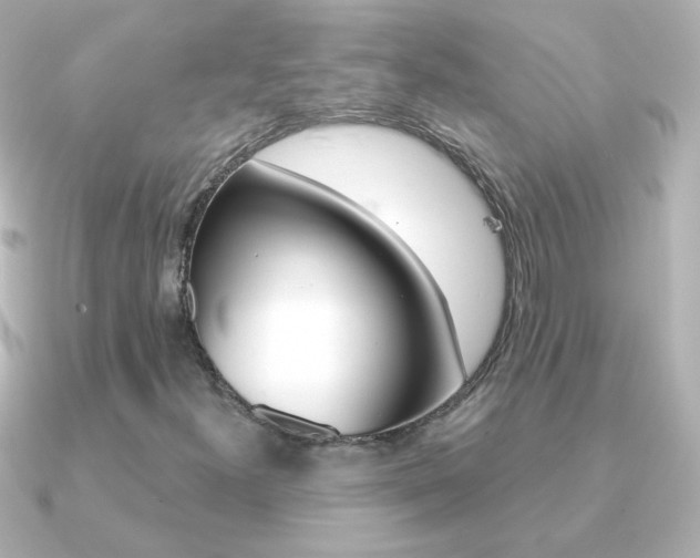 X0000091201300200708091033