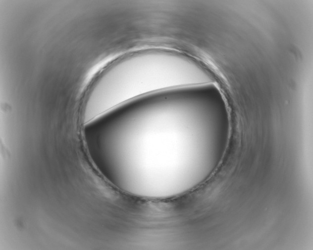 X0000091201312200708091033