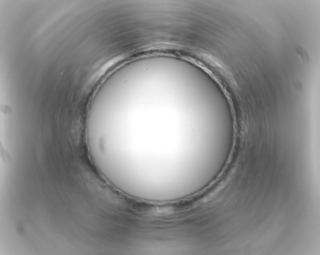 X0000091201313200708091033