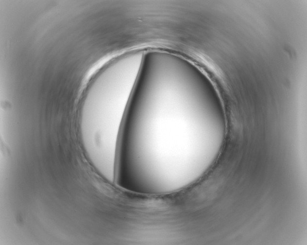 X0000091201316200708091033