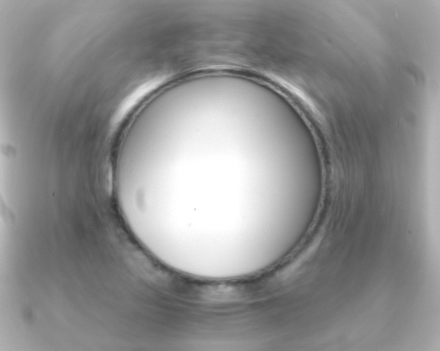 X0000091201317200708091033