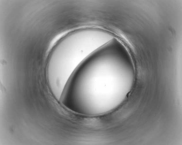 X0000091201320200708091033