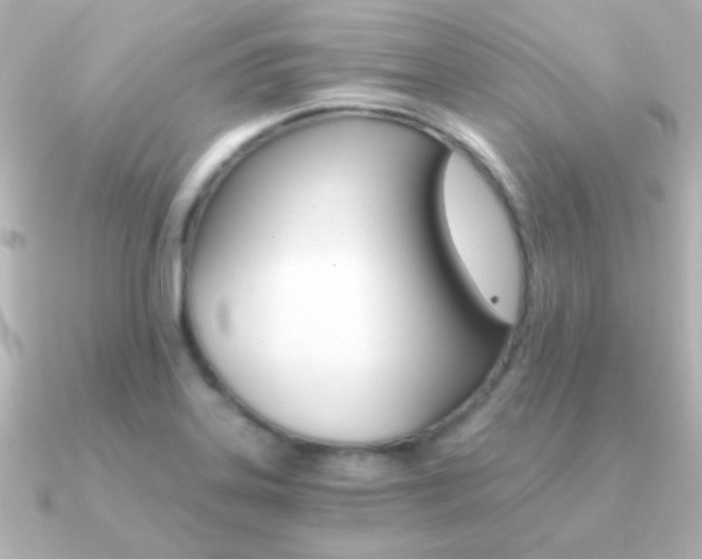 X0000091201323200708091033