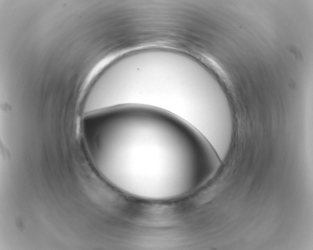 X0000091201324200708091033