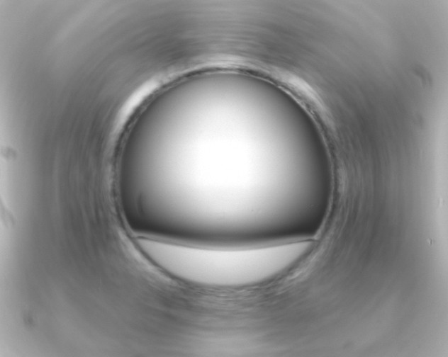 X0000091201326200708091033