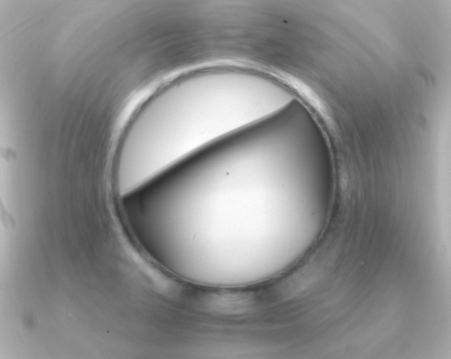X0000091201327200708091033