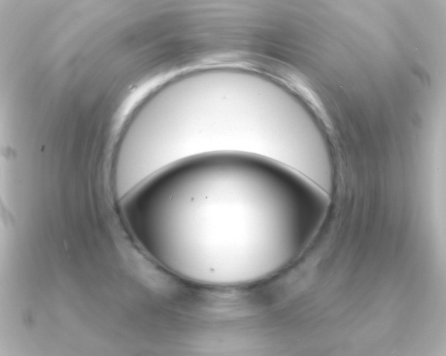 X0000091201328200708091033