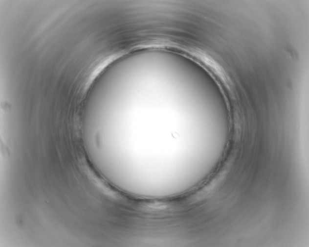 X0000091201329200708091033
