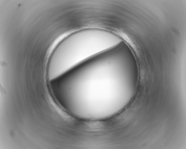 X0000091201331200708091033