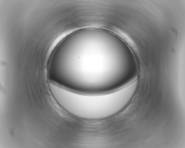 X0000091201332200708091033