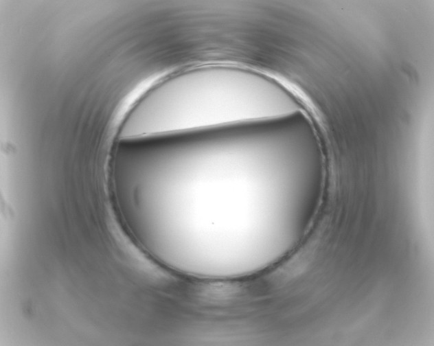 X0000091201333200708091033