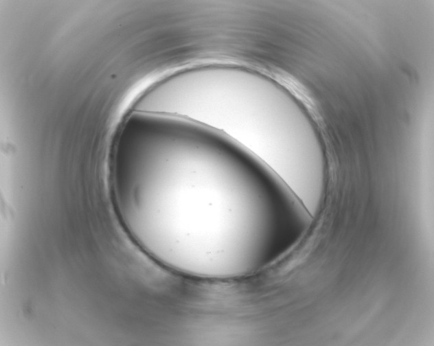 X0000091201334200708091033