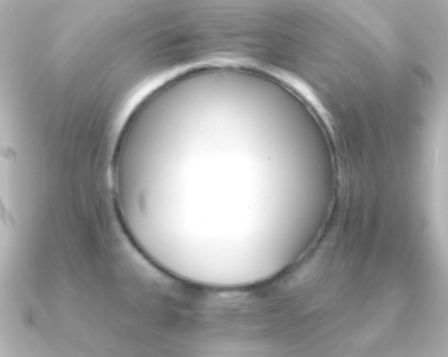 X0000091201335200708091033